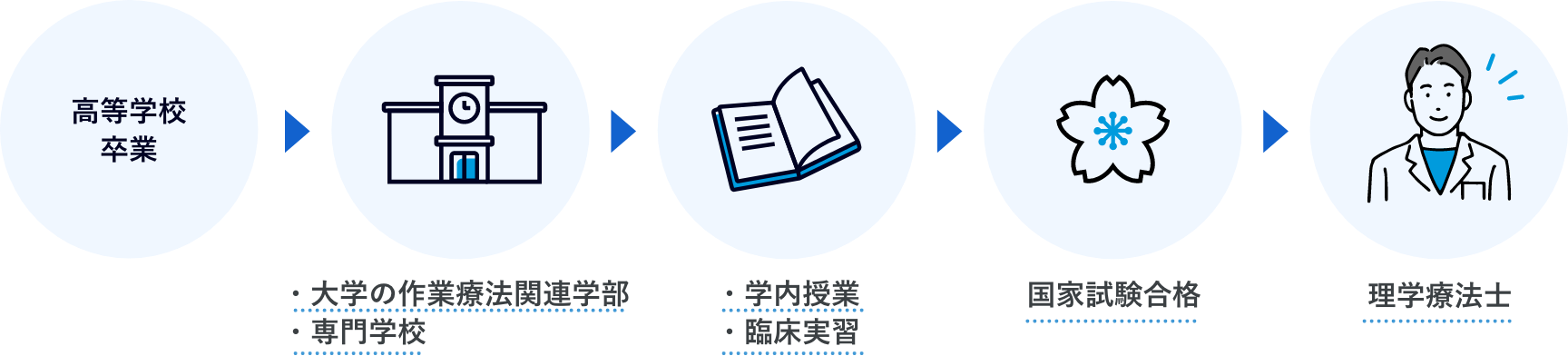国家試験の受験(図)